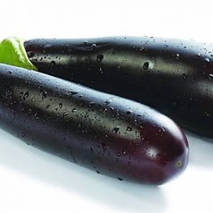 Aubergine