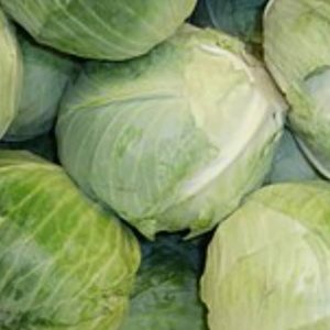 Cabbage