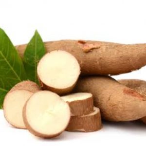 Cassava