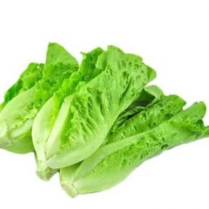 Lettuce