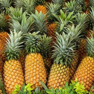 Pineapple
